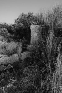 A Greek monument overshadowed by a heavy growth of vegetation. This image is in black and white.